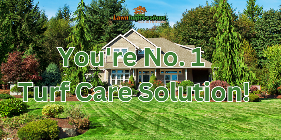 Lawn Impressions: Your No. 1 Turf Care Solution Concord NC - Lawn ...