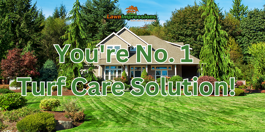 Lawn Impressions: Your No. 1 Turf Care Solution Concord NC