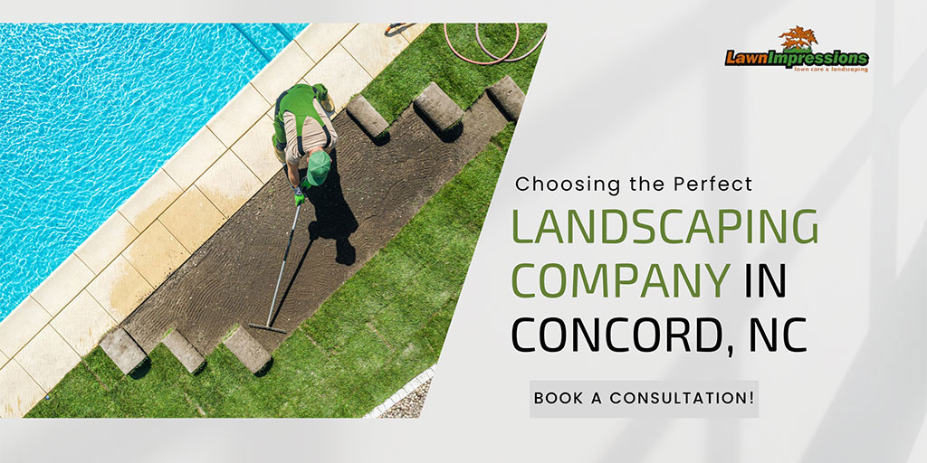 Choosing the Perfect Landscaping Company in Concord, NC