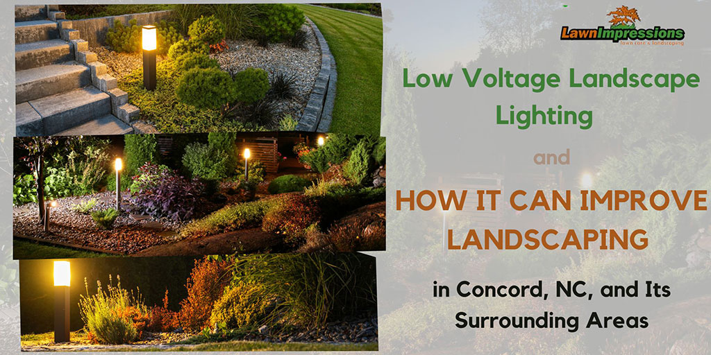 Low-Voltage Landscape Lighting and How it Can Improve Landscaping in Concord, NC and its Surrounding Areas