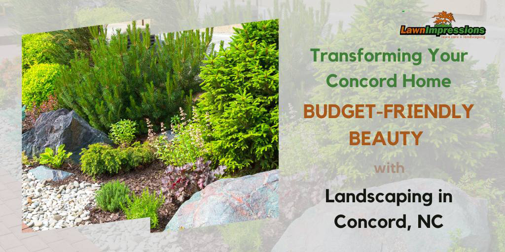 Transforming Your Concord Home: Budget-Friendly Beauty with Landscaping in Concord, NC