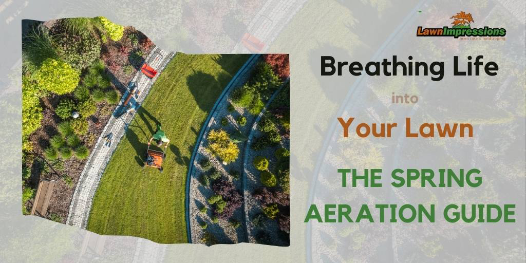 Breathing Life into Your Lawn: The Spring Aeration Guide