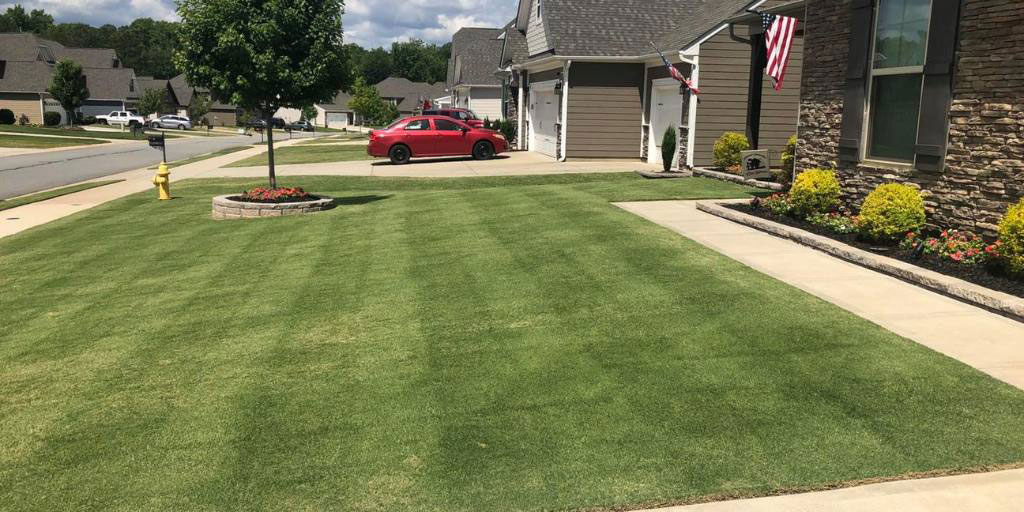 Lawn Care Kannapolis NC