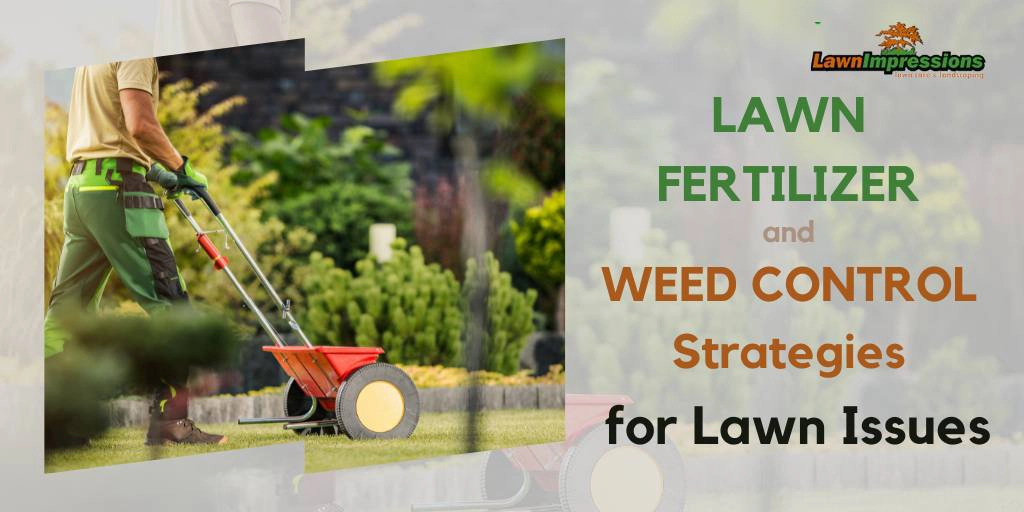 Lawn Fertilizer and Weed Control Strategies for Lawn Issues