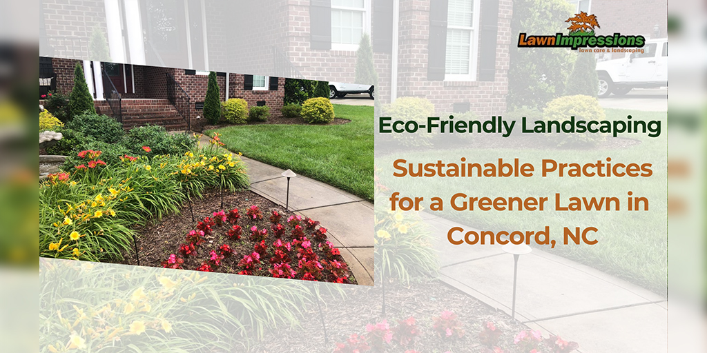 Eco Friendly Landscaping