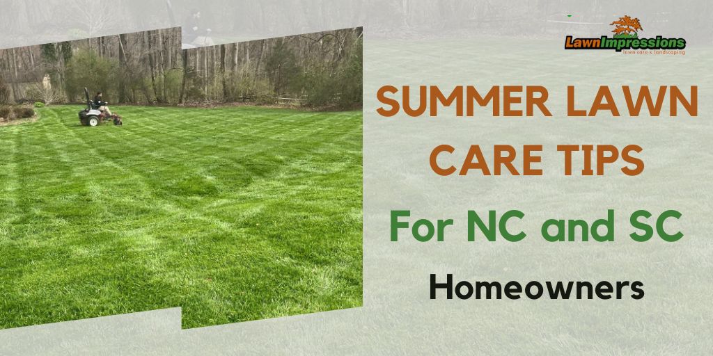 Summer Lawn Care Tips For NC and SC Homeowners