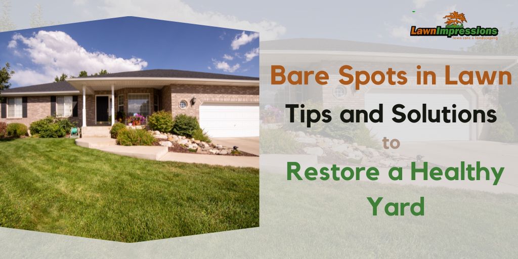 Bare Spots in Lawn: Tips and Solutions to Restore a Healthy Yard