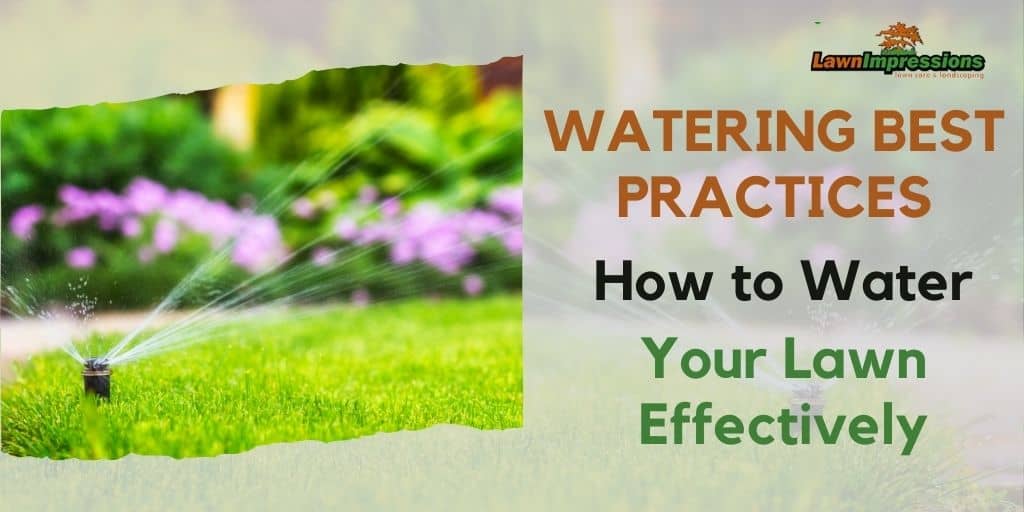 Watering Best Practices: How to Water Your Lawn Effectively