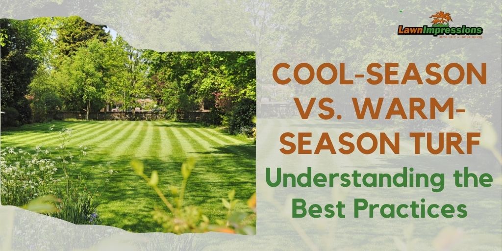 Warm-Season Turf vs. Cool-Season Turf: Understanding the Best Practices